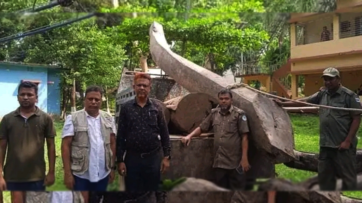 লামায় রিজার্ভের গাছ চোরকে মুচলেকা নিয়ে ছেড়ে দেয়ার অভিযোগ লামায় রিজার্ভের গাছ চোরকে মুচলেকা নিয়ে ছেড়ে দেয়ার অভিযোগ