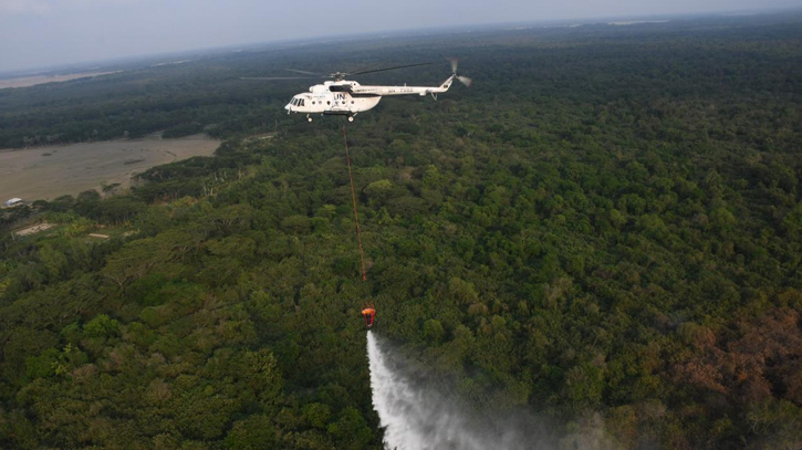 Sundarbans fire contained after nearly 30 hours