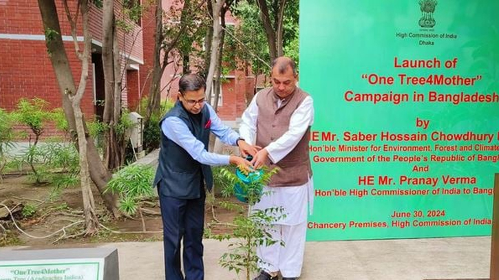 Everyone should plant a sapling: Saber Everyone should plant a sapling: Saber