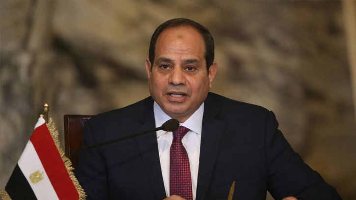Sisi discuss ways to achieve stability in Middle East