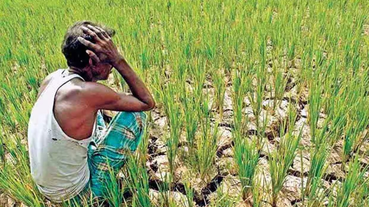 Farmer dies of heat stroke in Ctg