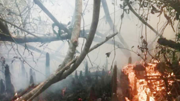 Sundarbans fire: Expert committee to visit affected area