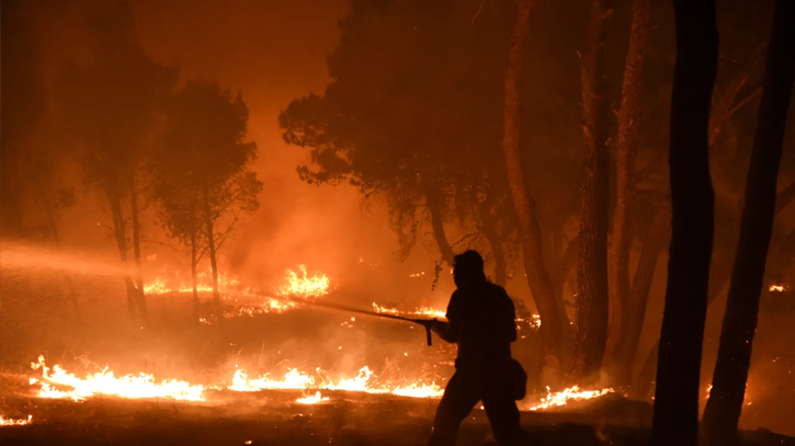 Japan urges 400 to evacuate northern city over forest fire