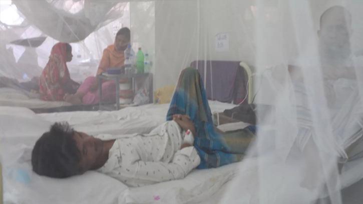 11dengue patients hospitalised in 24hrs