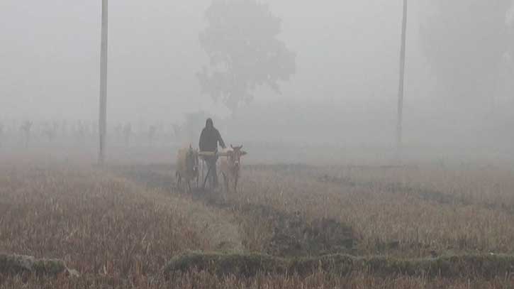 Biting cold batters Panchagarh, stikes poor most Biting cold batters Panchagarh, stikes poor most