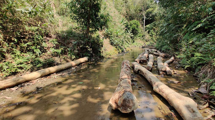 Forests are being cleared for various reasons Forests are being cleared for various reasons