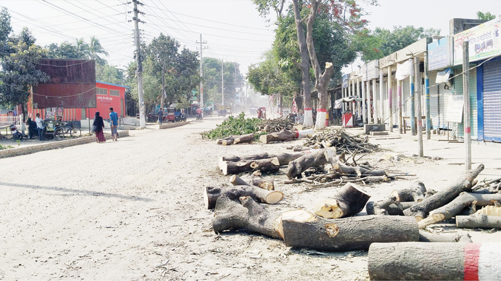 298 trees cut for road widening amid heatwave