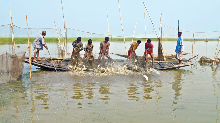 FBCCI seeks 2 EZs for fisheries sector for 