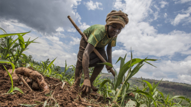 African farmers wander to address climate change