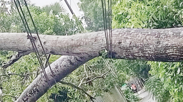 4.7 Lakh people suffering without electricity