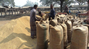 Govt to procure 1.44 lakh tonnes of rice in Khulna