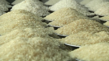 Rice price sharply declining in city market