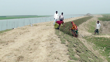 142km crop protection dams bring relief to farmers