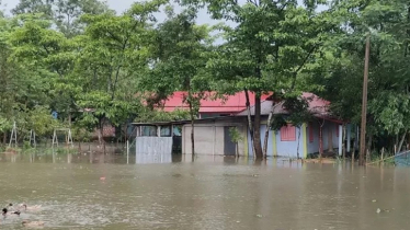 Flash flood leaves over 5 lakh people stranded in Sylhet
