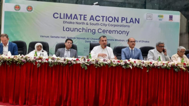 Urban afforestation project to reduce Dhaka’s temperature: Saber