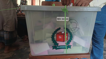 Polls to Shibganj upazila progressing peacefully