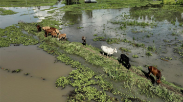 Flooding wreaks havoc across East Africa