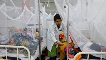 13 dengue patients hospitalized