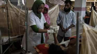 New 20 dengue patients hospitalised
