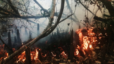Sundarban fire extinguishing to begin in the morning