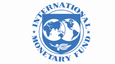 More flexible exchange rate regime needed to build reserves : IMF 