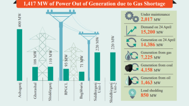 Fuel shortage forces 3,354 MW power generation halt