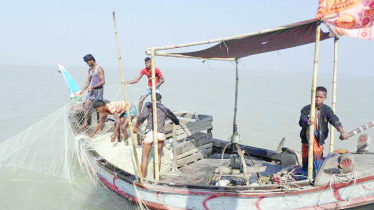 Illegal ’Jatka’ netting continues unabated, defying ban
