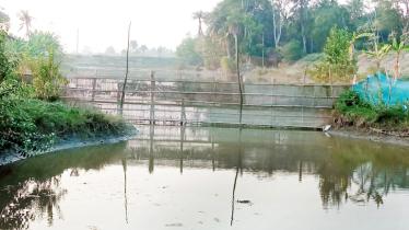 Canals grabbed for fish farming threaten livelihood 