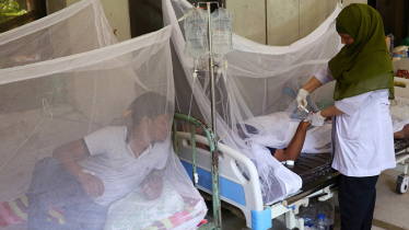 1 more dengue patient dies; 23 hospitalised in 24hrs