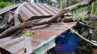 Storm kills two, damages houses in Bhola 