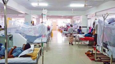  34 dengue patients hospitalized