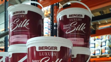 Luxury Redefined: Introducing Berger LuxurySuper Silk Paint