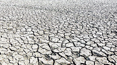 Drought, power cuts threaten agriculture production