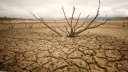 El Nino not climate change driving southern Africa drought