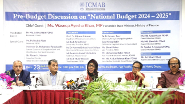 ‘Next budget will focus on controlling inflation, raising remittance’