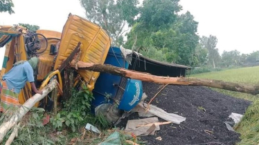 Truck driver killed in Jamalpur road accident