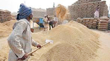 Farmers facing losses despite high paddy yields