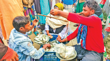 Hilsa fries netting, peddling rampant defying ban