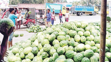 Unripe watermelons flood markets amid Ramadan rush