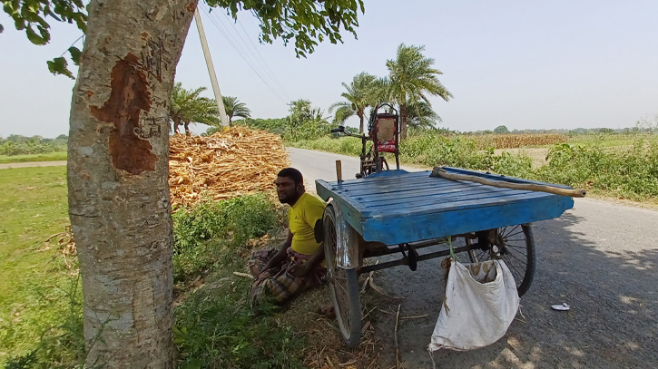 Chuadanga logs season’s highest temperature at 41.3 