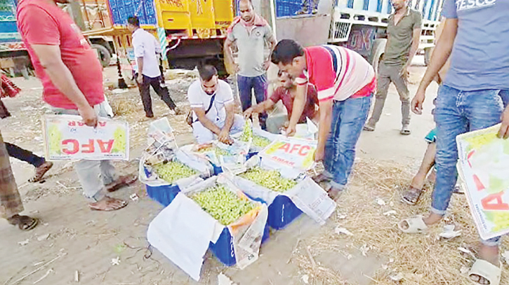 Import of perishable goods grinds to a halt at Benapole