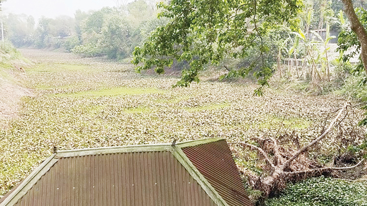 Pollution, neglect threaten existence of Ichhamati River Pollution, neglect threaten existence of Ichhamati River