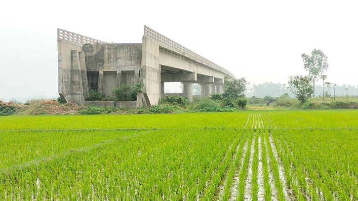 Tk 34cr bridge left useless without approach roads 